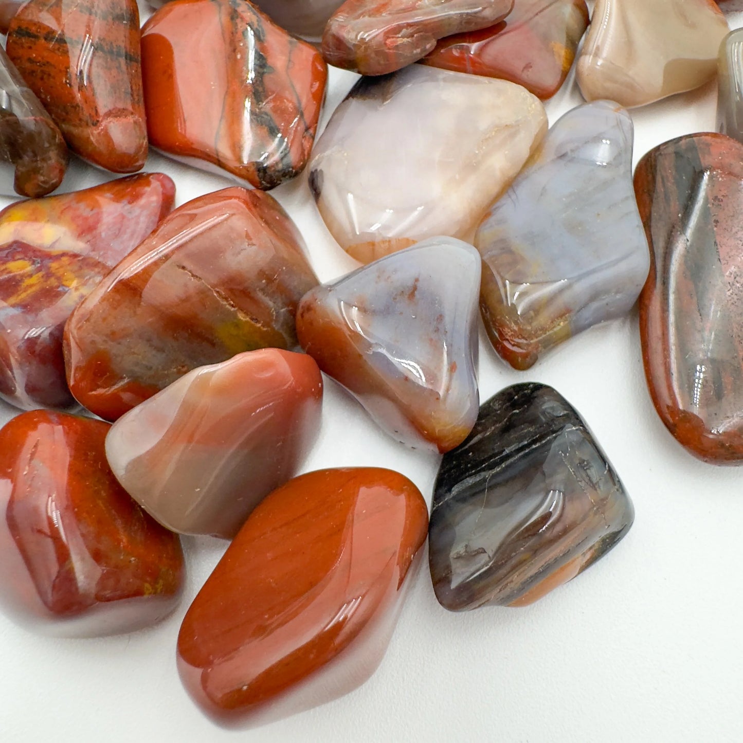 Edge-on view of Grade AA Petrified Wood tumbled stone, showing natural inclusions.