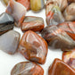 Top-down shot of Petrified Wood tumbled stone, showing natural variation, hand-selected from Mahajanga, Madagascar.