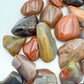 Reverse angle of Petrified Wood tumbled stone, showing natural sheen.