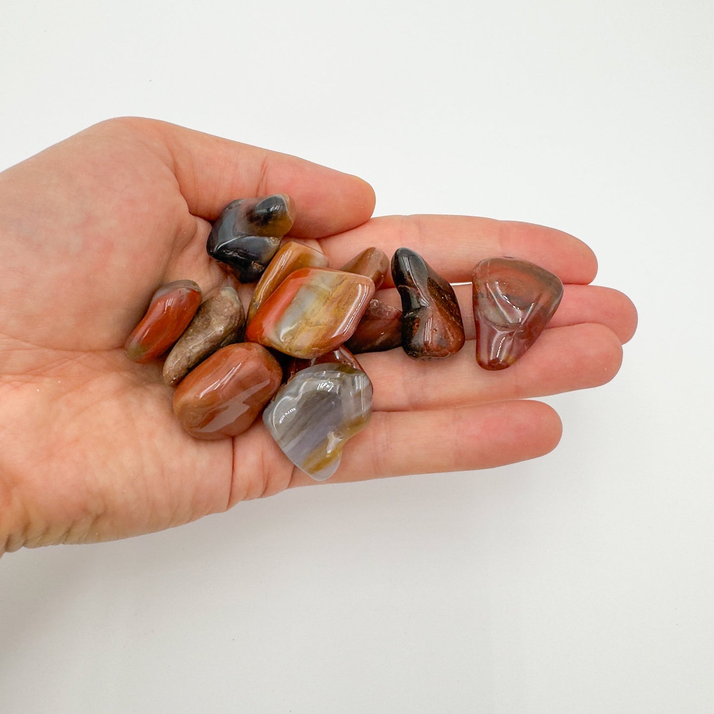 Back view of Grade AA Petrified Wood tumbled stone showing natural surface
