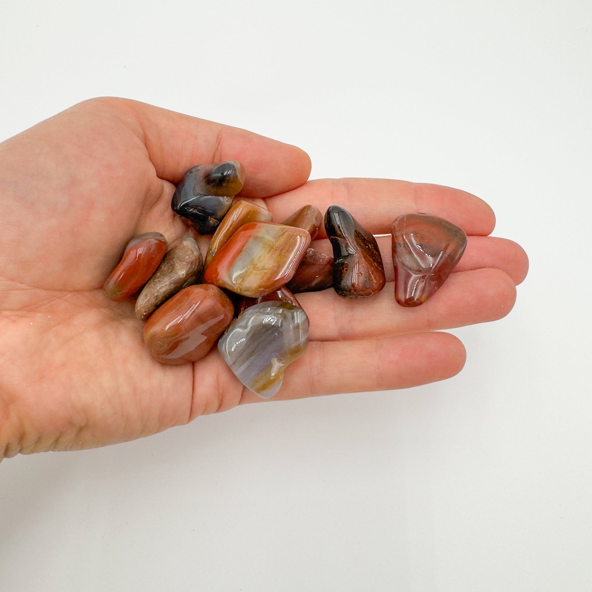 Back view of Grade AA Petrified Wood tumbled stone showing natural surface