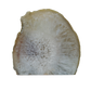 Agate candle holder front face, pale banded chalcedony polished smooth