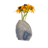 Agate crystal vase with concentric banding and crystalline quartz center, A grade, Minas Gerais Brazil, view 1
