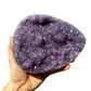 Grade aa amethyst geode held in hand for size reference