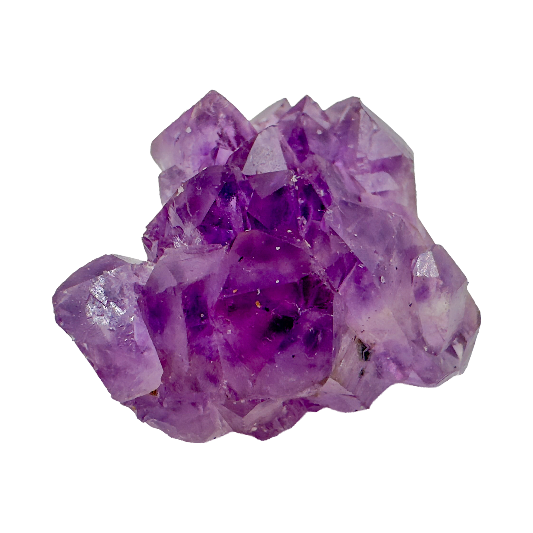 Amethyst Raw Crystal Clusters | AA Grade | Brazil | 1–2 Inch - Natural Stone