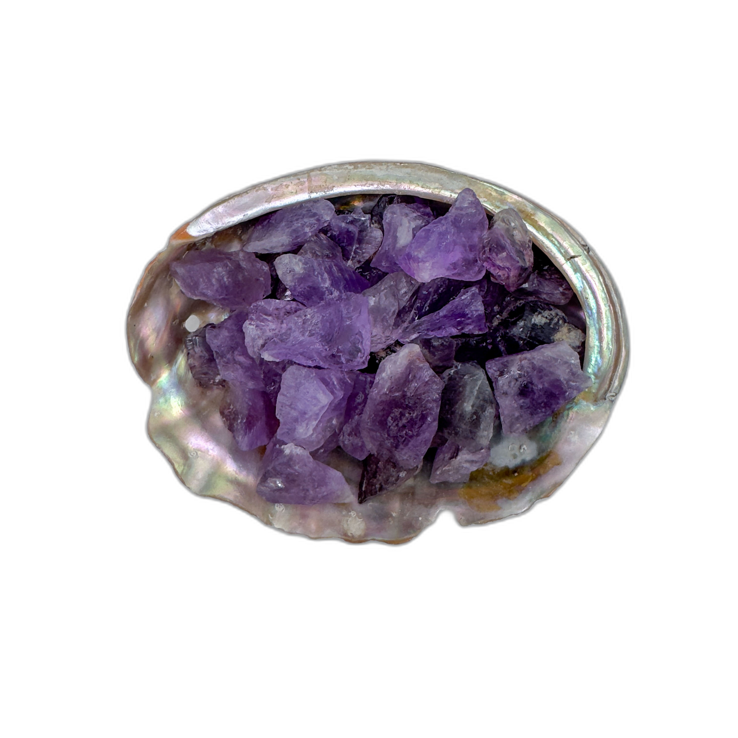 Amethyst raw crystals 5-10 grams ethically sourced Rio Grande do Sul Brazil bulk AA grade in abalone shell
