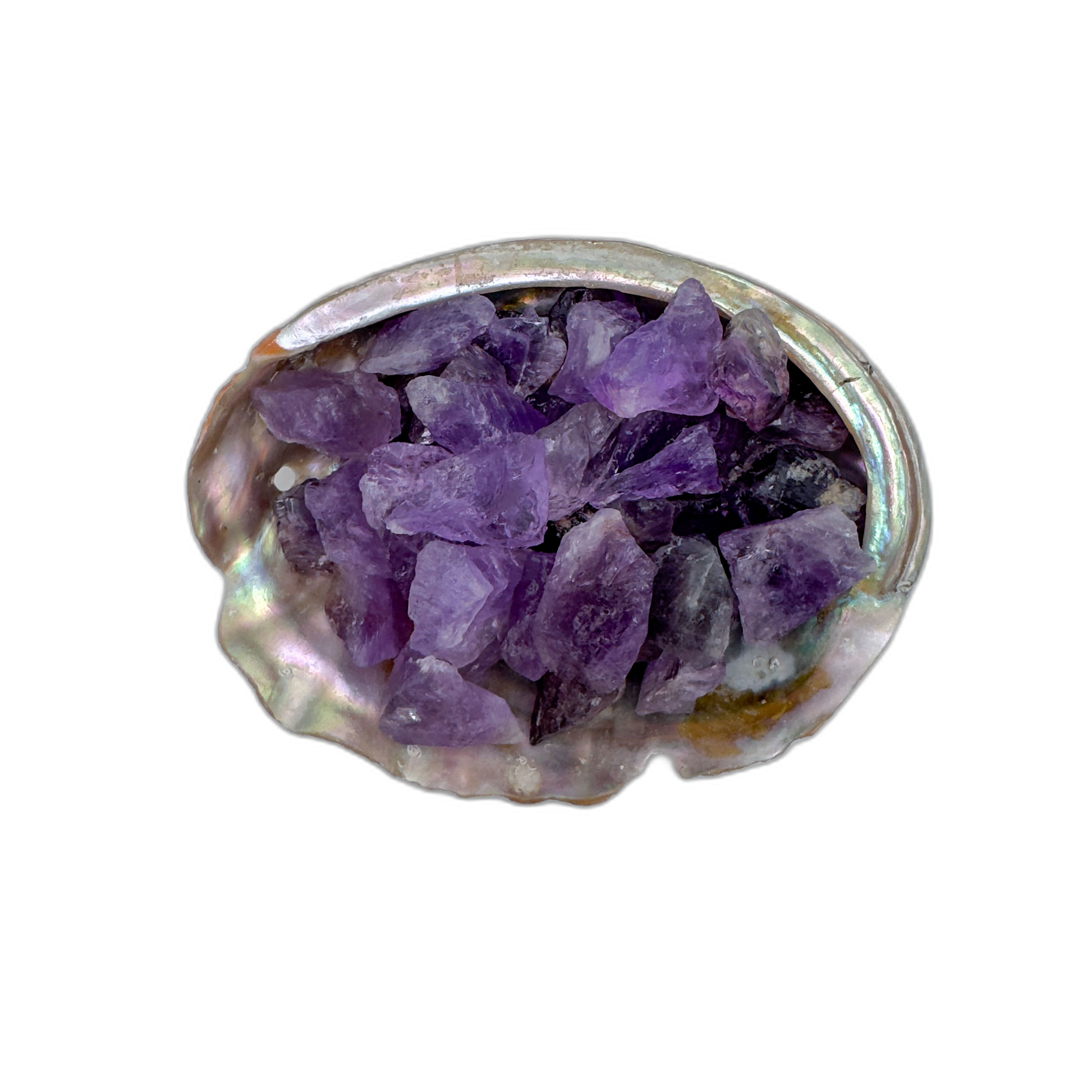 Amethyst raw crystals 5-10 grams ethically sourced Rio Grande do Sul Brazil bulk AA grade in abalone shell