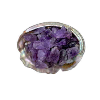 Amethyst raw crystals 5-10 grams ethically sourced Rio Grande do Sul Brazil bulk AA grade in abalone shell