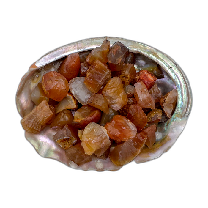 Carnelian raw stones 5-10 grams Rio Grande do Sul Brazil bulk A grade in abalone shell