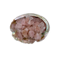 Rose Quartz raw stones 5-10 grams Minas Gerais Brazil bulk AA grade in abalone shell