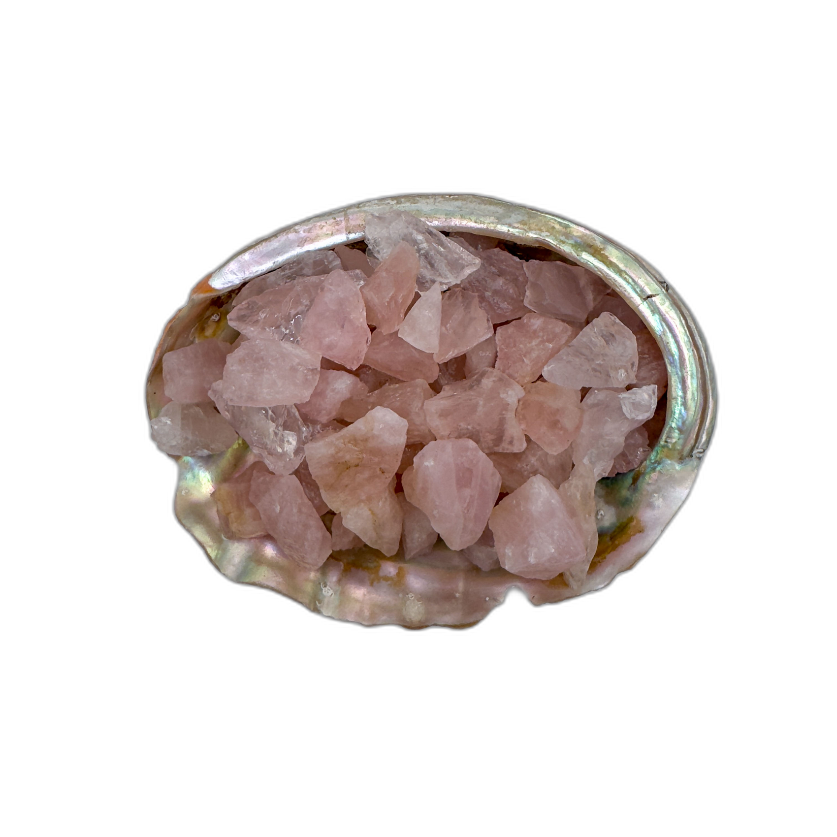 Rose Quartz raw stones 5-10 grams Minas Gerais Brazil bulk AA grade in abalone shell