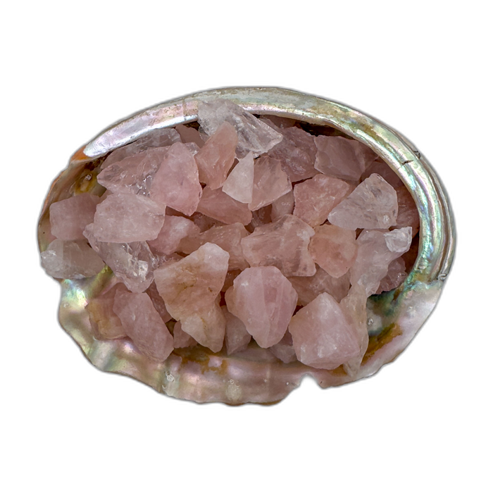 Rose Quartz raw stones 5-10 grams Minas Gerais Brazil bulk AA grade in abalone shell