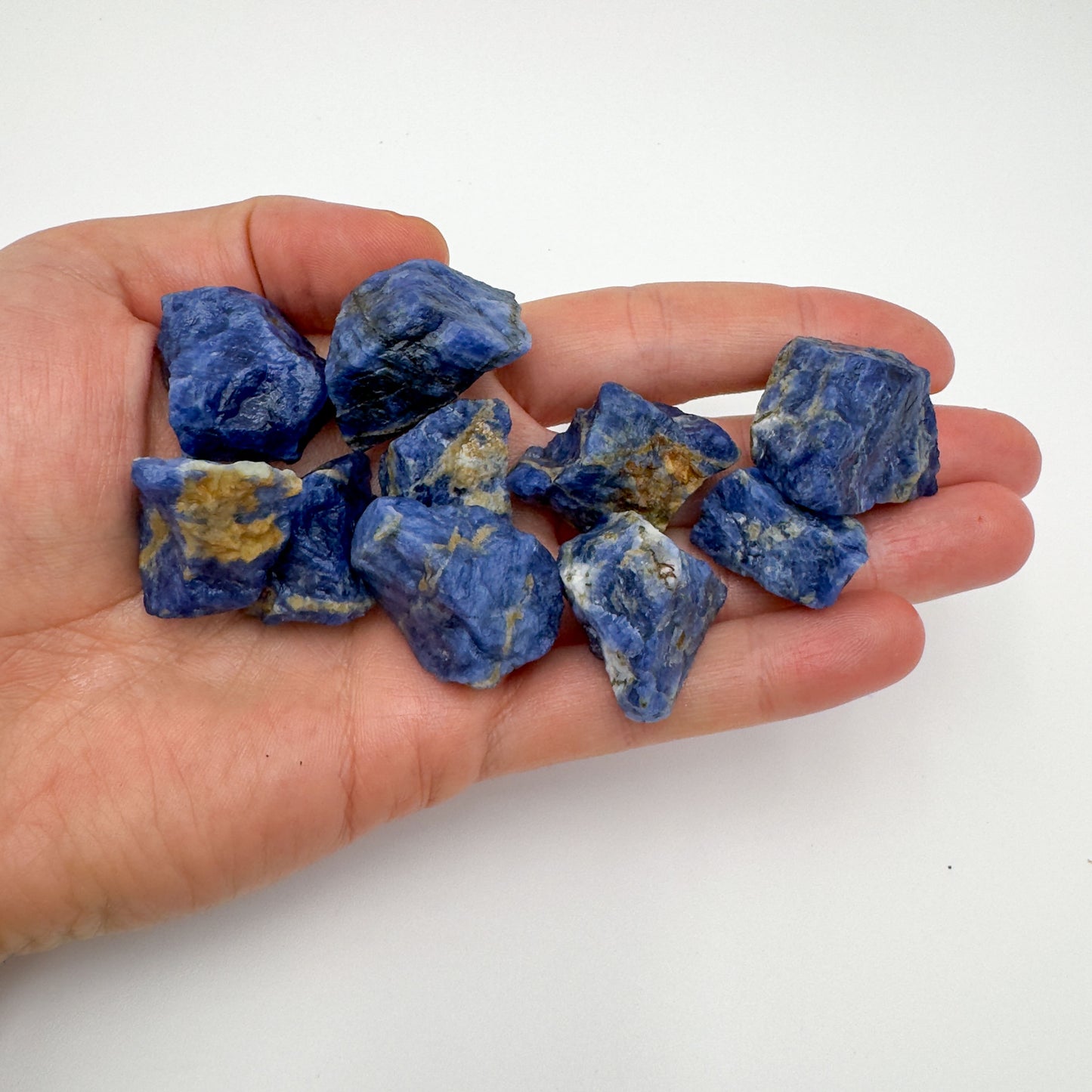 Hand holding small sodalite raw stones 5-10 grams Brazil scale reference