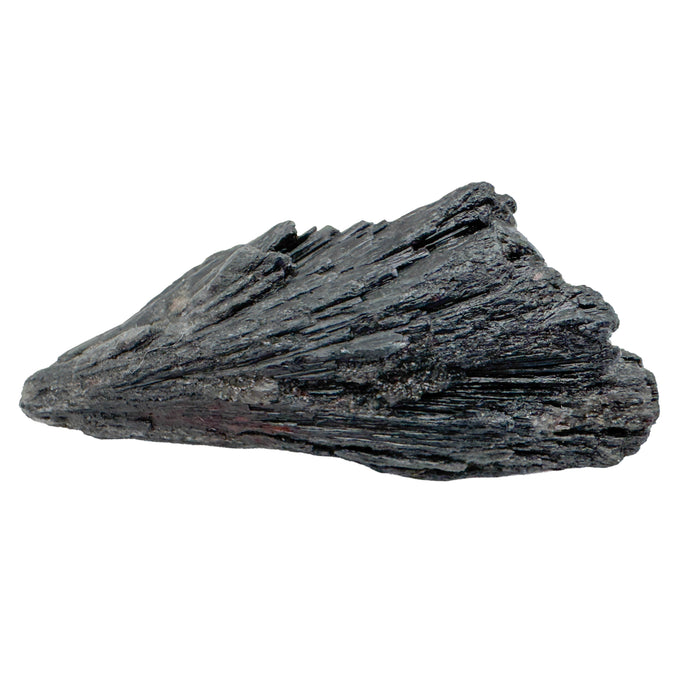 Black Kyanite Raw Crystal Blades, A Grade, Brazil: one fan-shaped cluster of black blades on a white background, seen from the side