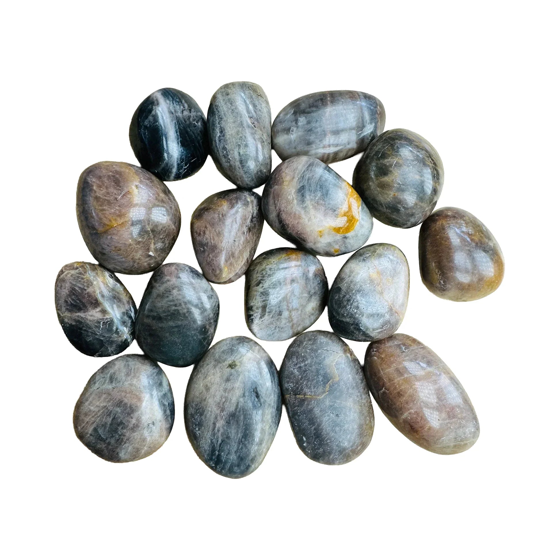 Polished Black Moonstone Palm Stones for Grounding, Intuition & Manifestation — black polished, AA grade from Madagascar