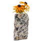 Black tourmaline in quartz crystal vase, cream stone with black tourmaline blades, A grade, Minas Gerais Brazil, view 2