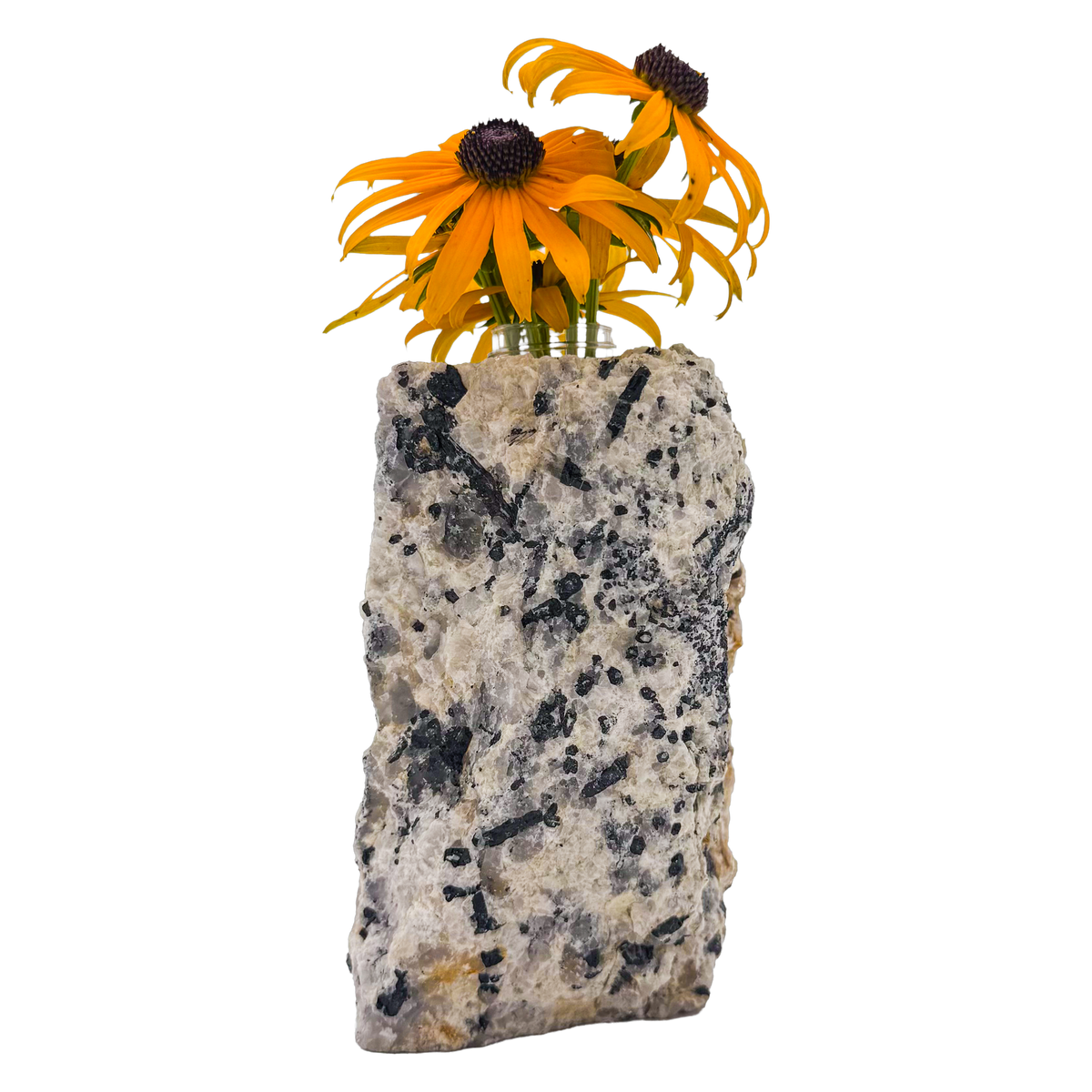 Black tourmaline in quartz crystal vase, cream stone with black tourmaline blades, A grade, Minas Gerais Brazil, view 2