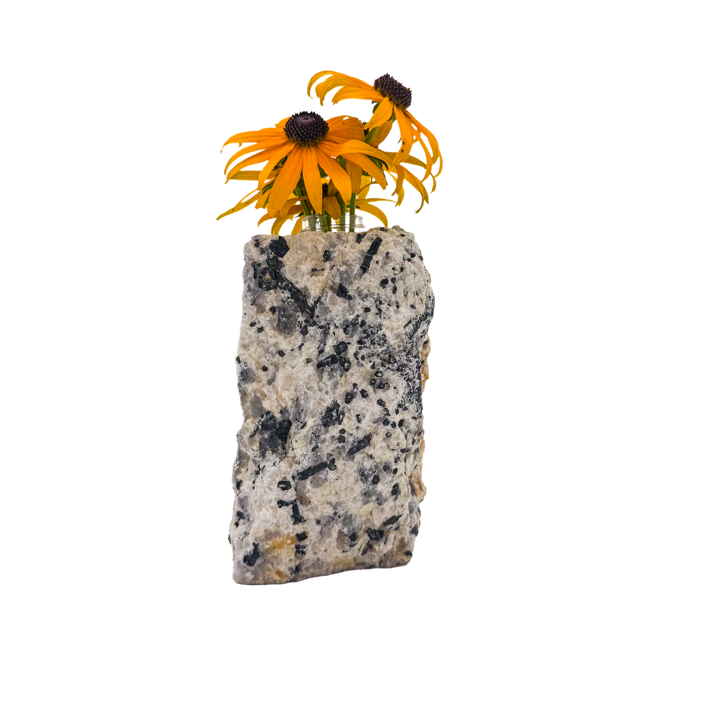 Black tourmaline in quartz crystal vase, cream stone with black tourmaline blades, A grade, Minas Gerais Brazil, view 2