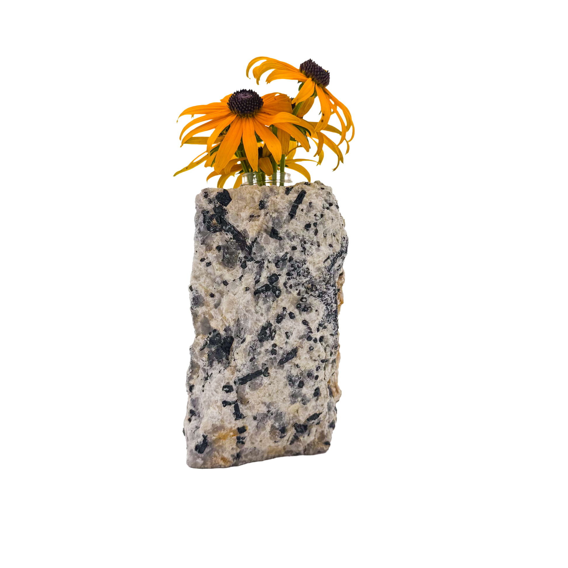 Black tourmaline in quartz crystal vase, cream stone with black tourmaline blades, A grade, Minas Gerais Brazil, view 2