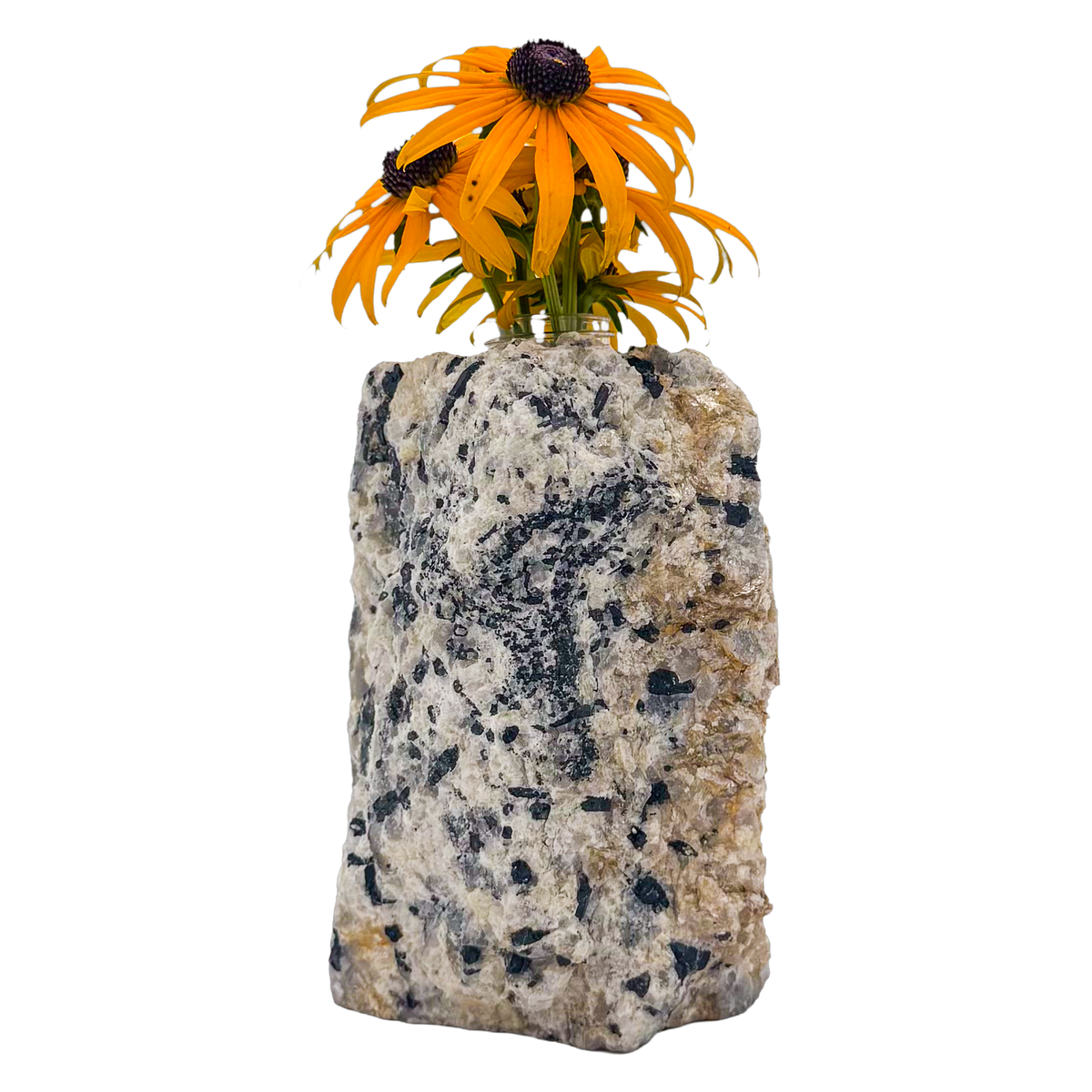 Black tourmaline in quartz crystal vase, cream stone with black tourmaline blades, A grade, Minas Gerais Brazil, view 1