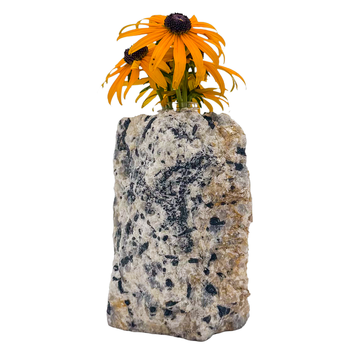 Black tourmaline in quartz crystal vase, cream stone with black tourmaline blades, A grade, Minas Gerais Brazil, view 1