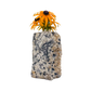 Black tourmaline in quartz crystal vase, cream stone with black tourmaline blades, A grade, Minas Gerais Brazil, view 1