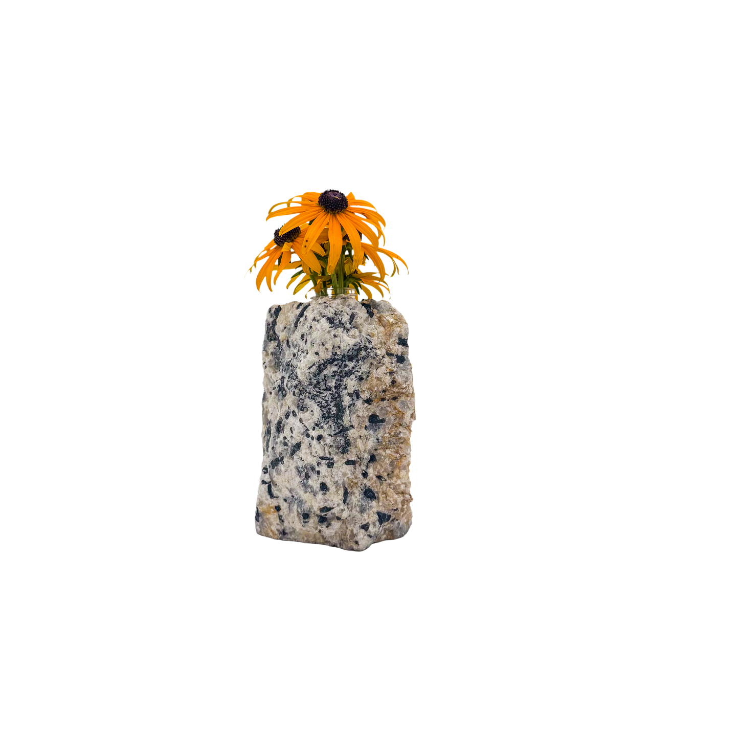 Black tourmaline in quartz crystal vase, cream stone with black tourmaline blades, A grade, Minas Gerais Brazil, view 1