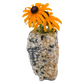 Black tourmaline in quartz crystal vase, cream stone with black tourmaline blades, A grade, Minas Gerais Brazil, view 3