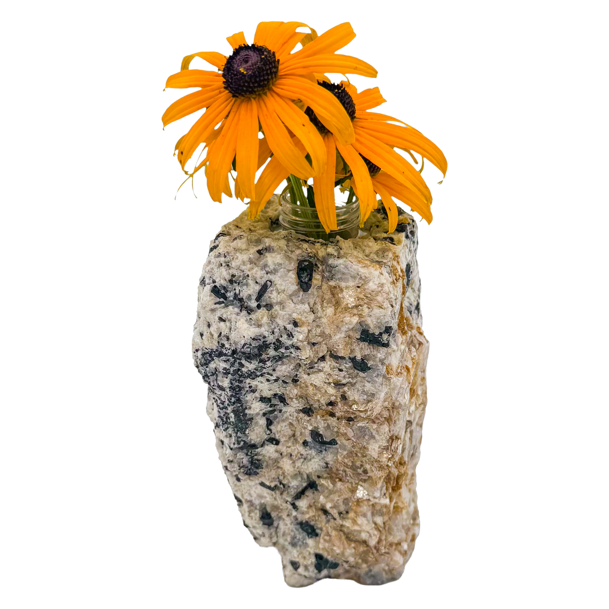 Black tourmaline in quartz crystal vase, cream stone with black tourmaline blades, A grade, Minas Gerais Brazil, view 3