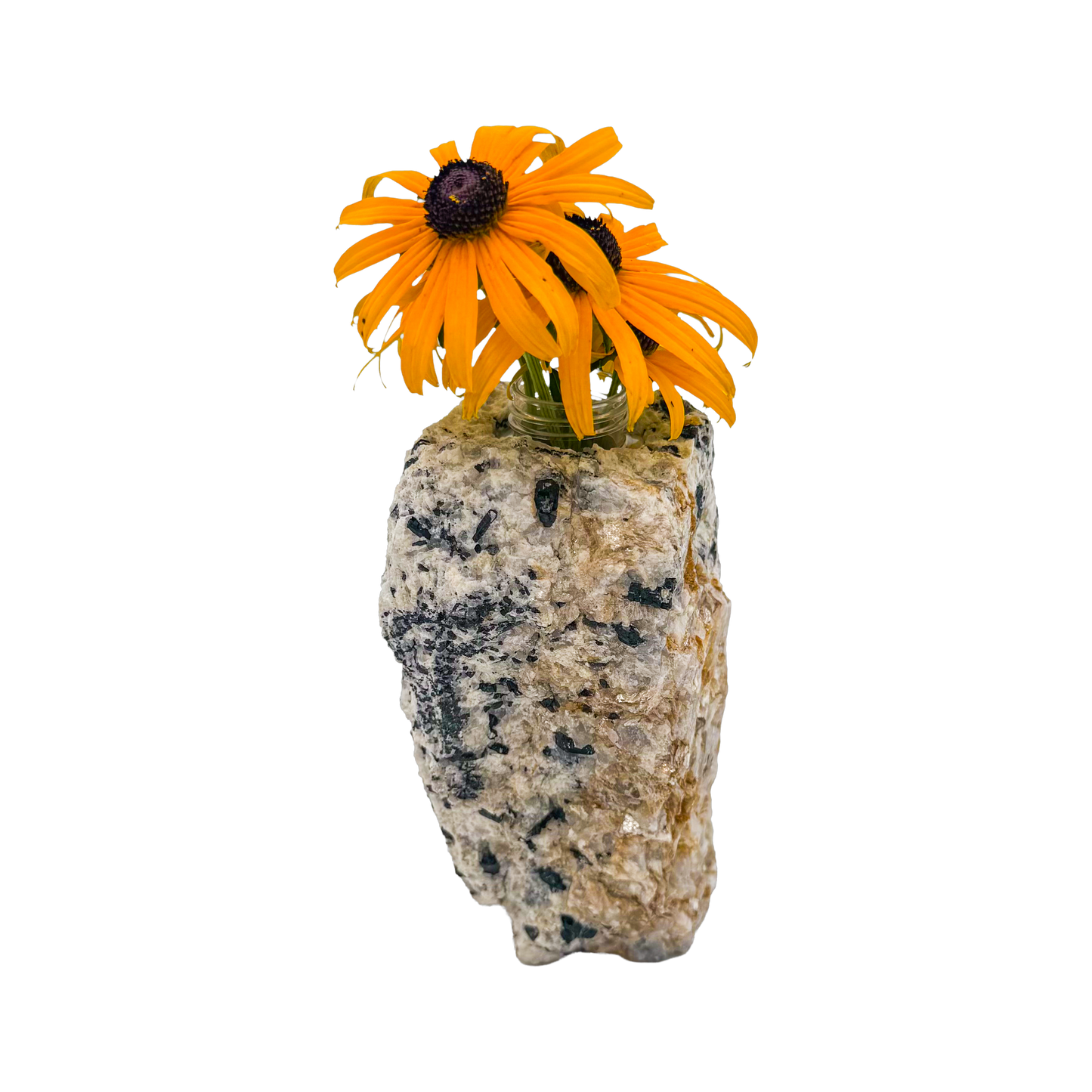 Black tourmaline in quartz crystal vase, cream stone with black tourmaline blades, A grade, Minas Gerais Brazil, view 3