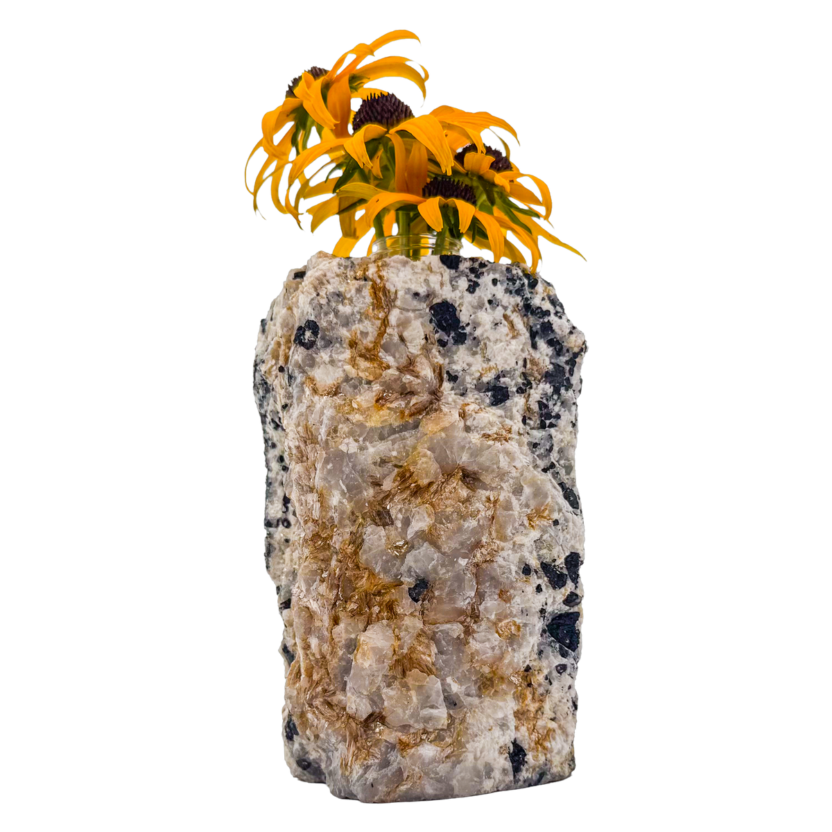 Black tourmaline in quartz crystal vase, cream stone with black tourmaline blades, A grade, Minas Gerais Brazil, view 4