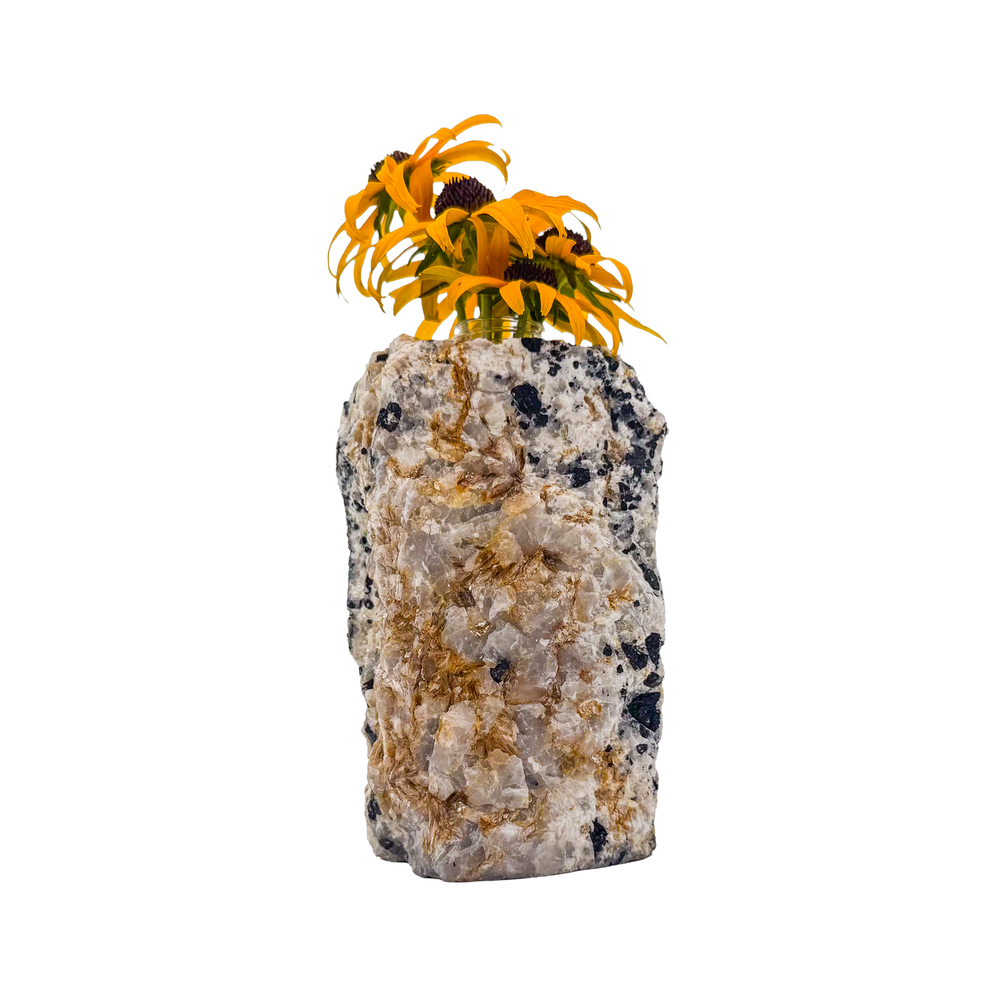 Black tourmaline in quartz crystal vase, cream stone with black tourmaline blades, A grade, Minas Gerais Brazil, view 4