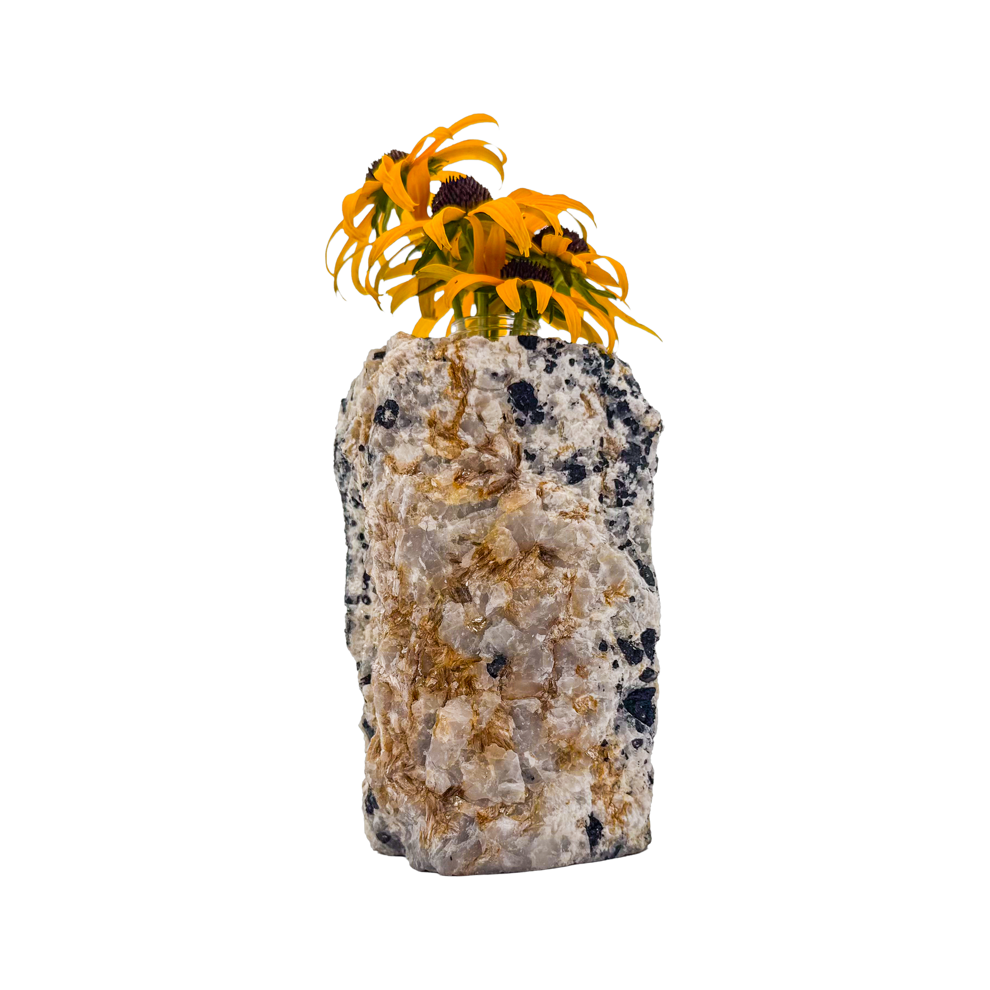 Black tourmaline in quartz crystal vase, cream stone with black tourmaline blades, A grade, Minas Gerais Brazil, view 4