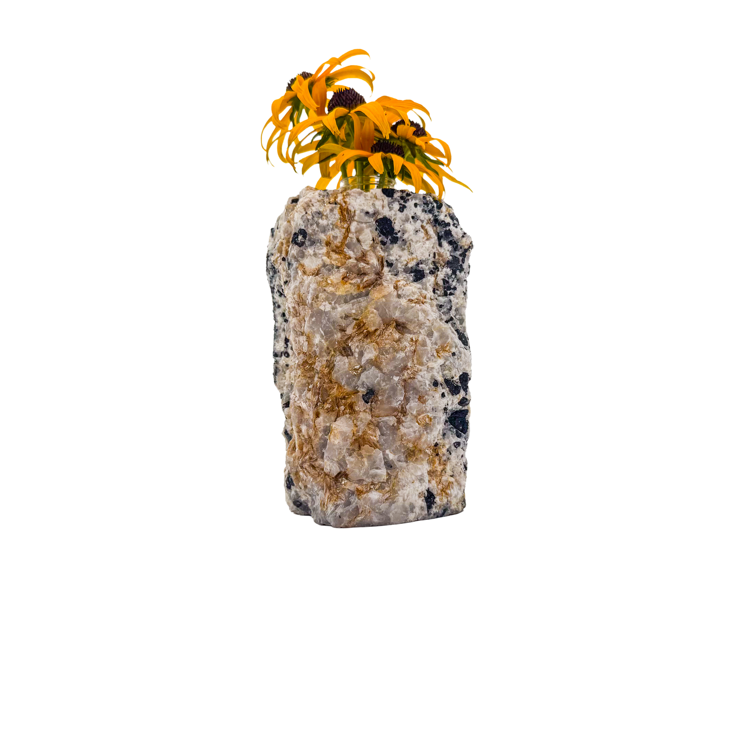 Black tourmaline in quartz crystal vase, cream stone with black tourmaline blades, A grade, Minas Gerais Brazil, view 4