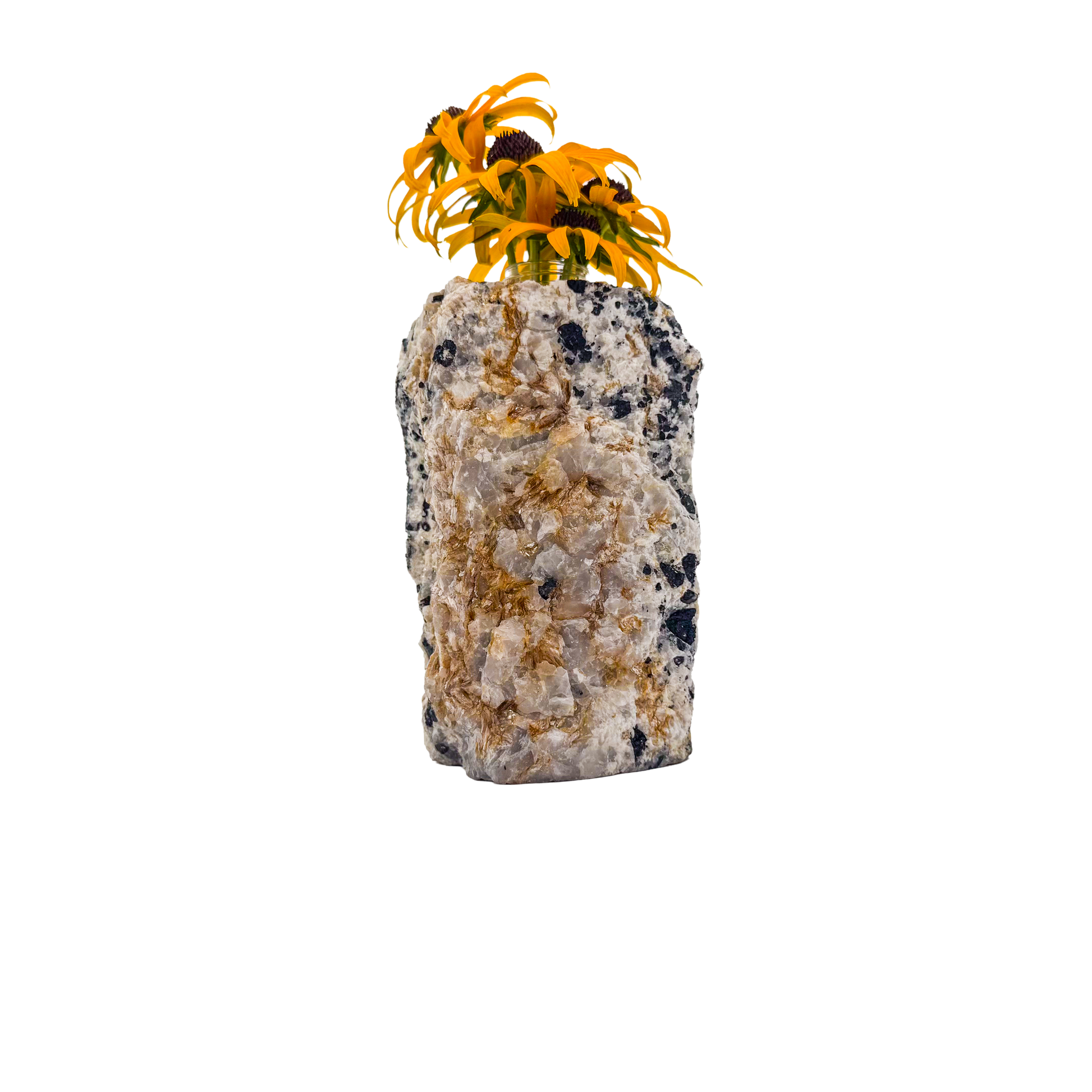 Black tourmaline in quartz crystal vase, cream stone with black tourmaline blades, A grade, Minas Gerais Brazil, view 4