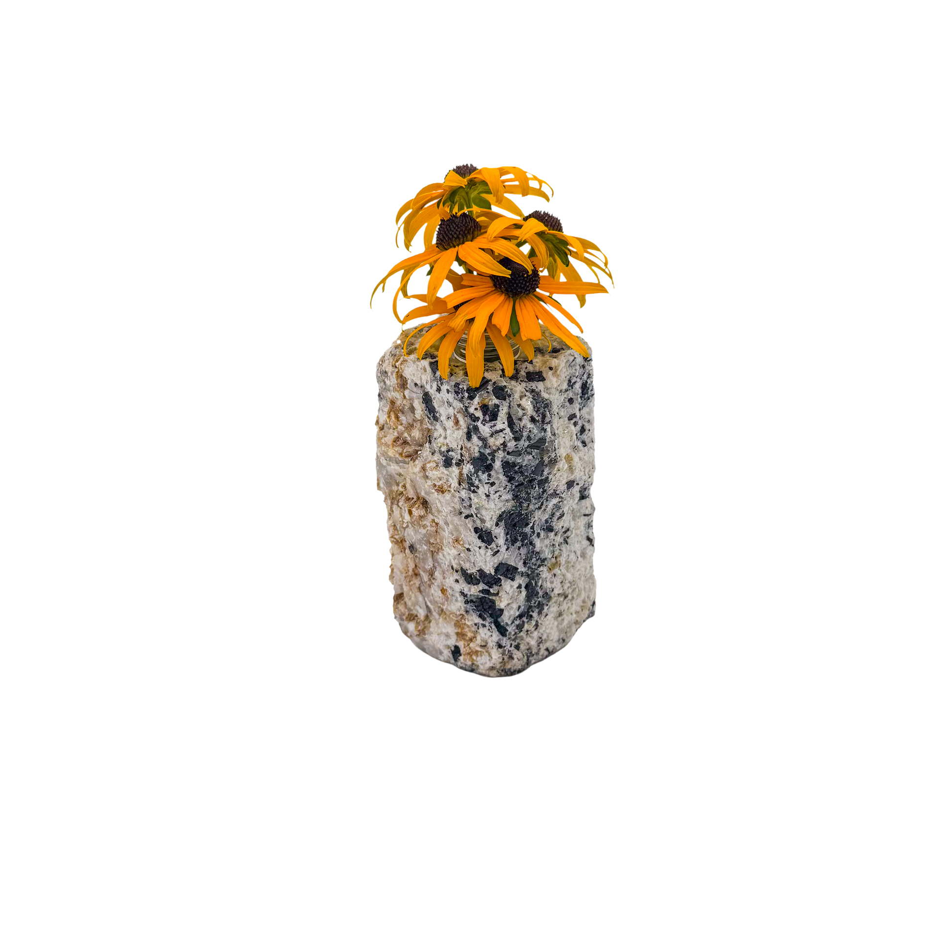 Black tourmaline in quartz crystal vase, cream stone with black tourmaline blades, A grade, Minas Gerais Brazil, view 5