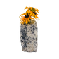 Black tourmaline in quartz crystal vase, cream stone with black tourmaline blades, A grade, Minas Gerais Brazil, view 6
