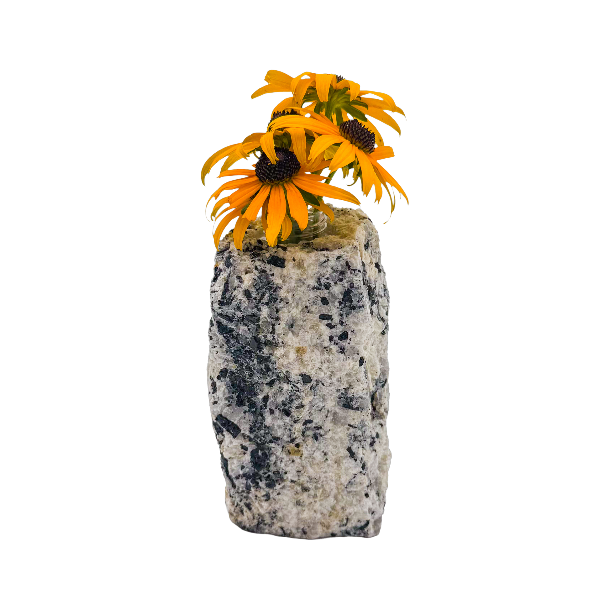 Black tourmaline in quartz crystal vase, cream stone with black tourmaline blades, A grade, Minas Gerais Brazil, view 6
