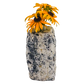 Black tourmaline in quartz crystal vase, cream stone with black tourmaline blades, A grade, Minas Gerais Brazil, view 6