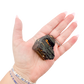 Raw black tourmaline specimen from Madagascar held in hand to show scale