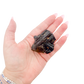 Raw black tourmaline specimen from Madagascar held in hand to show scale
