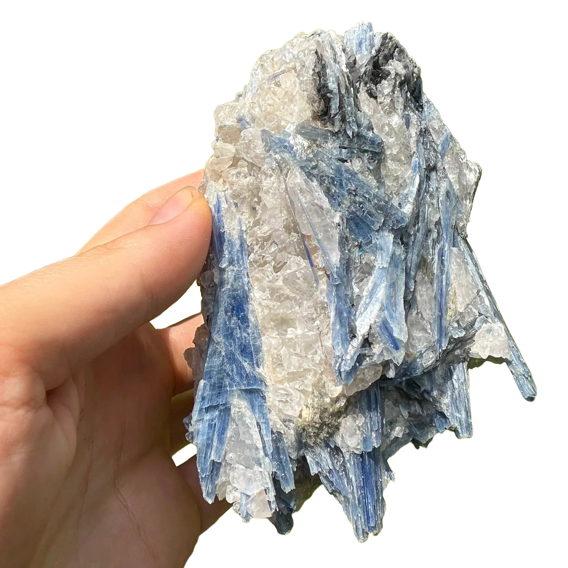 Size comparison with a single Blue Kyanite specimen from Brazil.