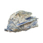 Raw Blue Kyanite Crystals traditionally associated with Communication, Confidence & Focus — blue rough natural, AA grade Brazil-sourced