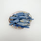 Near view of Blue Kyanite raw stone, drawn on for Confidence, from Minas Gerais, Brazil.