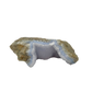 Blue lace agate raw geode, rear view of rough tan and grey host rock