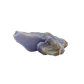 Blue lace agate raw geode, wide banded face angled into the light