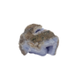 Blue lace agate raw geode from Malawi, AA grade, compact 3.90 inch nodule with blue banded chalcedony
