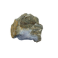 Blue lace agate raw geode, side profile of the tall compact nodule