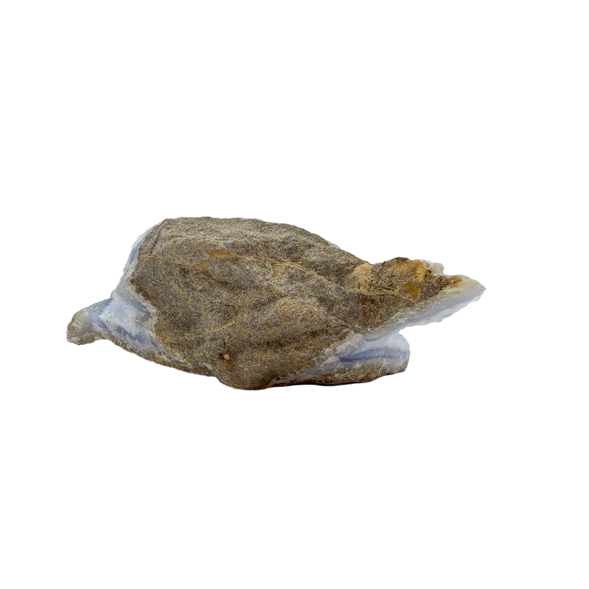 Blue lace agate raw geode, rear view of rough tan and grey host rock