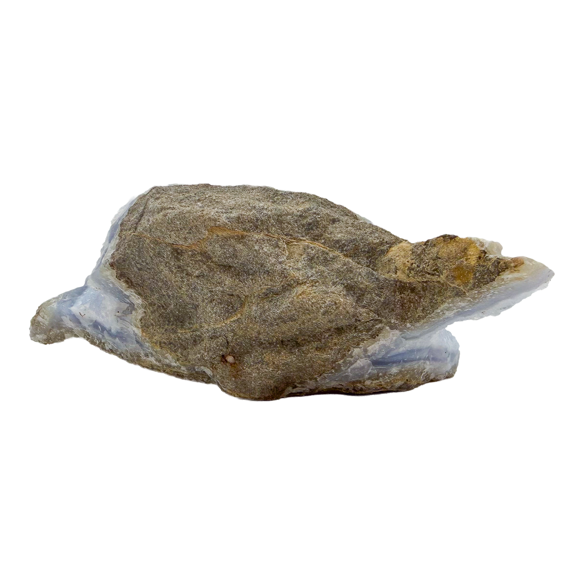 Blue lace agate raw geode, rear view of rough tan and gray host rock